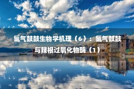  氢气鼓鼓生物学机理（6）：氢气鼓鼓与辣根过氧化物酶（1）