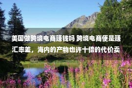 美国做跨境电商赚钱吗 跨境电商便是赚汇率差，海内的产物也许十倍的代价卖到美国？