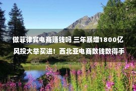 做菲律宾电商赚钱吗 三年暴增1800亿 风投大举买进！西北亚电商数钱数得手麻