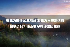 在华为做什么生意赚钱 华为再被制伏前程多少何？任正非早有秘密回生意