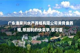  广东渔家兴水产养殖有限公司黄骨鱼养殖,想赢利的快来学,很可靠