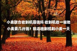 小麦联合收割机赚钱吗 收割机收一亩地小麦要几许钱？毗连收割机割小麦一天能赚几许？