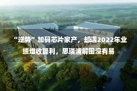  “逆势”加码芯片家产，却遇2022年业绩增收降利，思瑞浦解围没有易