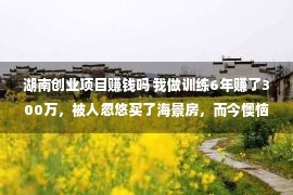 湖南创业项目赚钱吗 我做训练6年赚了300万，被人忽悠买了海景房，而今懊恼去世了！