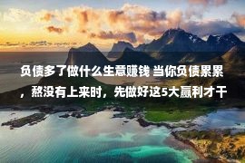 负债多了做什么生意赚钱 当你负债累累，熬没有上来时，先做好这5大赢利才干