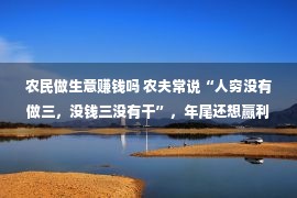 农民做生意赚钱吗 农夫常说“人穷没有做三，没钱三没有干”，年尾还想赢利的，来看看吧