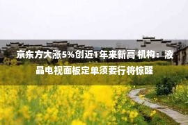  京东方大涨5%创近1年来新高 机构：液晶电视面板定单须要行将惊醒