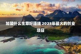 加盟什么生意好赚钱 2023年最火的创业项目