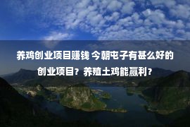 养鸡创业项目赚钱 今朝屯子有甚么好的创业项目？养殖土鸡能赢利？