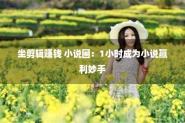 坐剪辑赚钱 小说圈：1小时成为小说赢利妙手