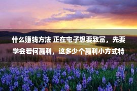 什么赚钱方法 正在屯子想要致富，先要学会若何赢利，这多少个赢利小方式特定要学会