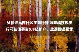 负债过高做什么生意赚钱 蓝晓科技拟发行可转债募资5.9亿扩产，盐湖提锂买卖能有多赢利？