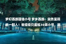 梦幻西游赚钱小号 梦乡西游：突然呈现的一群人！曾经经只需练30级小号，就能躺着赢利