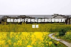  细胞自噬对于腰椎间盘优异后重接收的意思