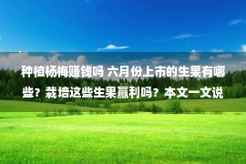 种植杨梅赚钱吗 六月份上市的生果有哪些？栽培这些生果赢利吗？本文一文说清!