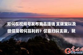 如何在视频号发布商品赚钱 支拨宝以及微信是若何赢利的？仅靠扫码支拨，就轻便年入500亿美金