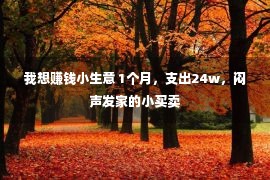 我想赚钱小生意 1个月，支出24w，闷声发家的小买卖