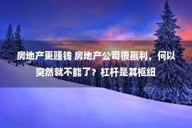 房地产更赚钱 房地产公司很赢利，何以突然就不能了？杠杆是其枢纽