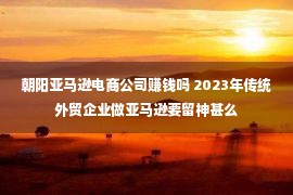 朝阳亚马逊电商公司赚钱吗 2023年传统外贸企业做亚马逊要留神甚么