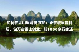 如何在大山里赚钱 实拍：正在城里赢利后，包万亩荒山创业，赔1000多万咋还连续干？