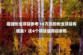 赚钱创业项目参考 10万元的创业项目有哪些？这4个项目值得你参照