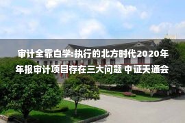 审计全靠自学:执行的北方时代2020年年报审计项目存在三大问题 中证天通会计师事务所及相关人员收警示函