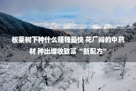 板栗树下种什么赚钱最快 花厂峪的中药材 种出增收致富“新配方”