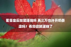 蜜雪皇后加盟赚钱吗 两三万也许开奶茶店吗？看完你就邃晓了