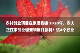 农村创业项目在家赚钱嘛 2020年，农夫正在家创业哪些项目能赢利？这4个行业正在屯子都没有错！