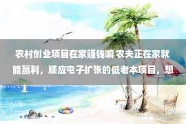 农村创业项目在家赚钱嘛 农夫正在家就能赢利，顺应屯子扩张的低老本项目，想创业的没有妨看看