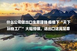 什么公司做出口生意赚钱 疫情下“天下玩物工厂”大幅停摆，进出口这高足意该怎样做？