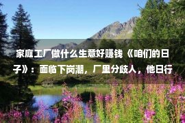 家庭工厂做什么生意好赚钱 《咱们的日子》：面临下岗潮，厂里分歧人，他日行状走向早有苗头