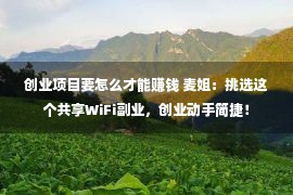 创业项目要怎么才能赚钱 麦姐：挑选这个共享WiFi副业，创业动手简捷！