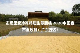 市场里卖冷冻鸡翅生意赚钱 2020中国夜市全攻略：广东茂名！