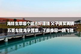 海鲜生意哪个城市好赚钱 父子俩买两辆五菱车做海孕育意，了局挣回一辆飞驰