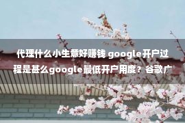 代理什么小生意好赚钱 google开户过程是甚么google最低开户用度？谷歌广告开户开户费？