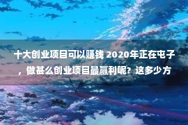 十大创业项目可以赚钱 2020年正在屯子，做甚么创业项目最赢利呢？这多少方面均可以侦察领会