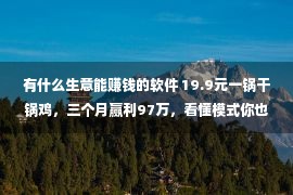 有什么生意能赚钱的软件 19.9元一锅干锅鸡，三个月赢利97万，看懂模式你也也许做