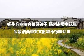 扬州商业综合体赚钱不 扬州市委书记张宝娟调商量贸文旅墟市惊醒处事