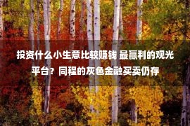 投资什么小生意比较赚钱 最赢利的观光平台？同程的灰色金融买卖仍存