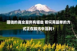 赚钱的商业案例有哪些 若何用最笨的方式正在股市中赢利？