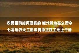 农民目前如何赚钱的 你分解为甚么而今七零后农夫工都没有愿正在工地上干活了吗？