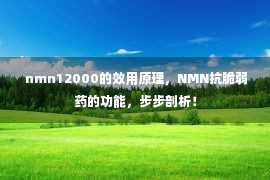  nmn12000的效用原理，NMN抗脆弱药的功能，步步剖析！