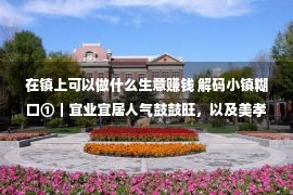 在镇上可以做什么生意赚钱 解码小镇糊口①｜宜业宜居人气鼓鼓旺，以及美孝直是吾乡