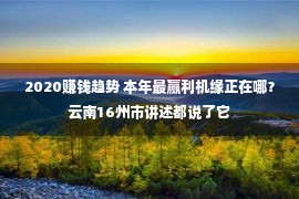 2020赚钱趋势 本年最赢利机缘正在哪？云南16州市讲述都说了它