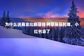 为什么说商业比赛赚钱 种草易赢利难，小红书急了