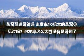 燕窝配送赚钱吗 泡发率10倍大的燕窝你见过吗？泡发率这么大岂没有是赚翻了