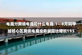 电商分跨境电商和什么电商:1—8月科学城核心区跨境电商业务量同比增长195%