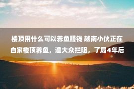 楼顶用什么可以养鱼赚钱 越南小伙正在自家楼顶养鱼，遭大众拦阻，了局4年后每月挣3万