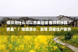 楼顶用什么可以养鱼赚钱 楼顶积水能“养鱼”！墙面渗水、发霉 顶楼住户家齐遭灾